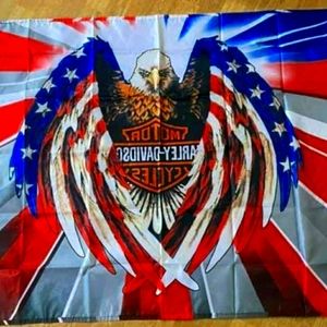 AMERICAN EAGLE FLAG NEW IN PACKAGE LARGE